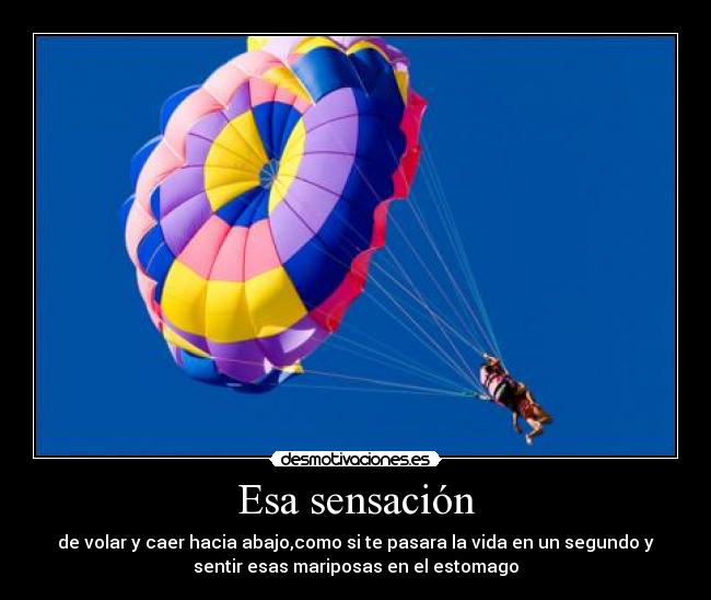 carteles partymusic marina desmotivaciones