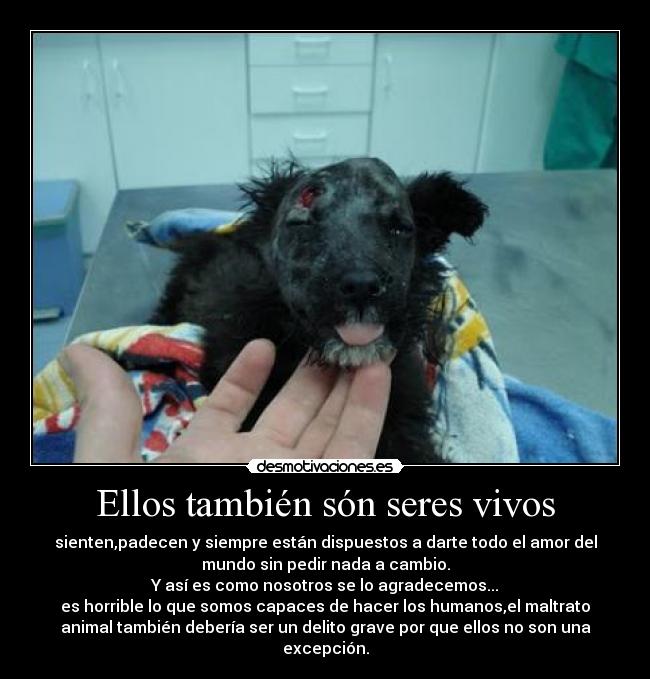 Ellos también són seres vivos -