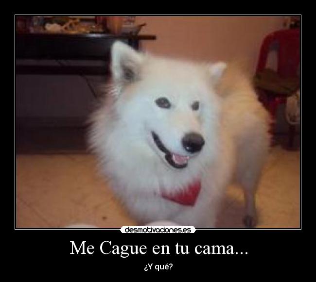 Me Cague en tu cama... - ¿Y qué?