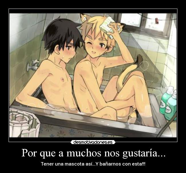 Por que a muchos nos gustaría... - 