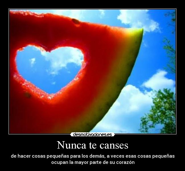 Nunca te canses - de hacer cosas pequeñas para los demás, a veces esas cosas pequeñas
ocupan la mayor parte de su corazón