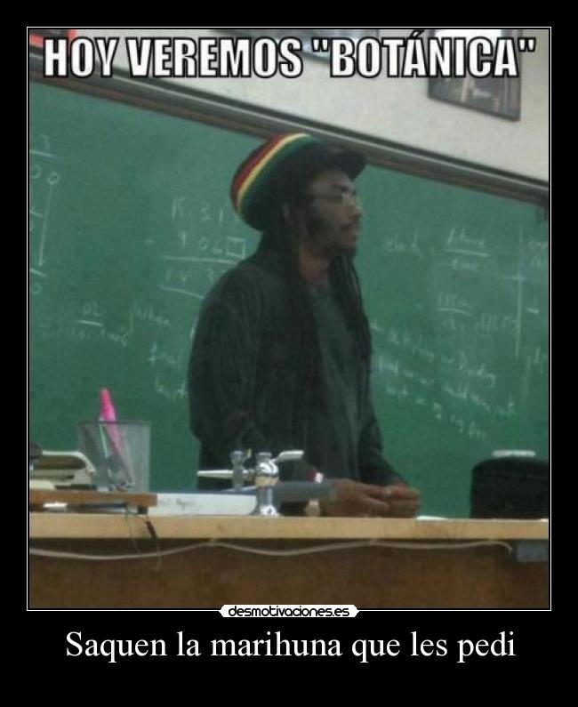 Saquen la marihuna que les pedi -