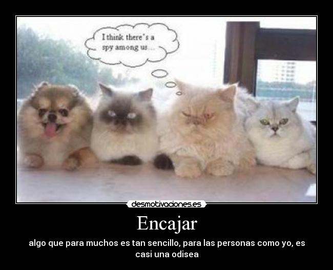 carteles encajar dohkodes desmotivaciones