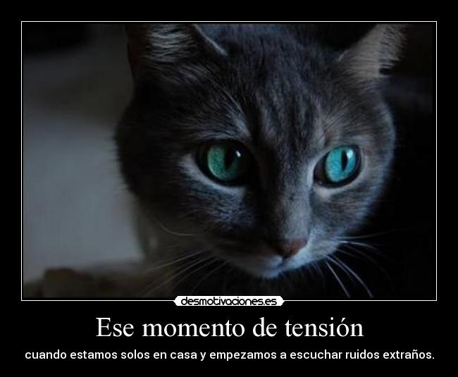 Ese momento de tensión - 