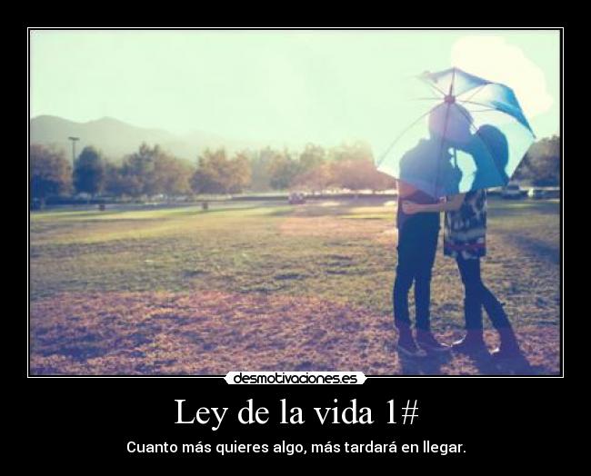 Ley de la vida 1# -