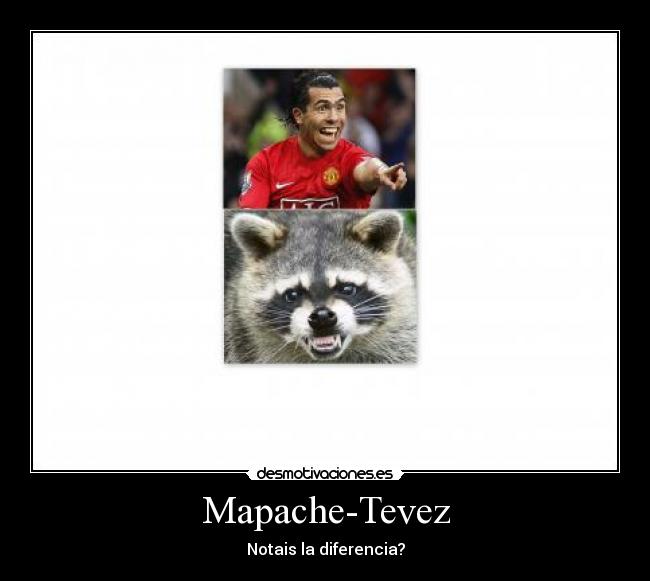 carteles desmotivaciones