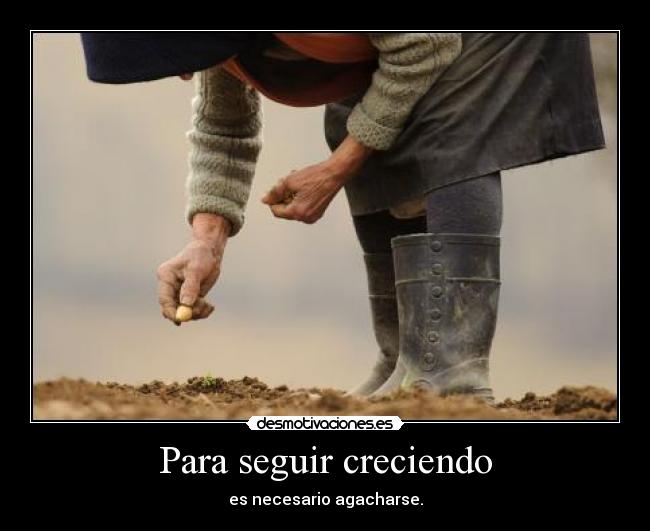 Para seguir creciendo -