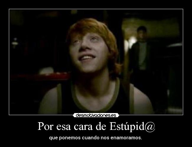 Por esa cara de Estúpid@ -