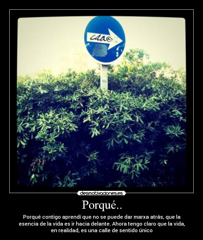 Porqué.. - 