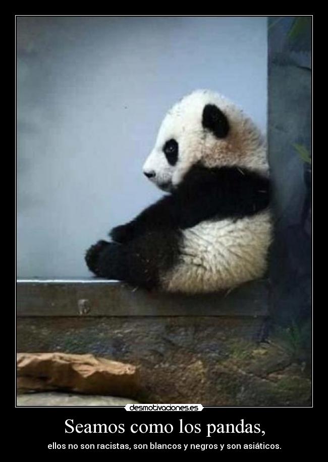 carteles seamos como ellos seeeep joapumita7 elclanviral desmotivaciones