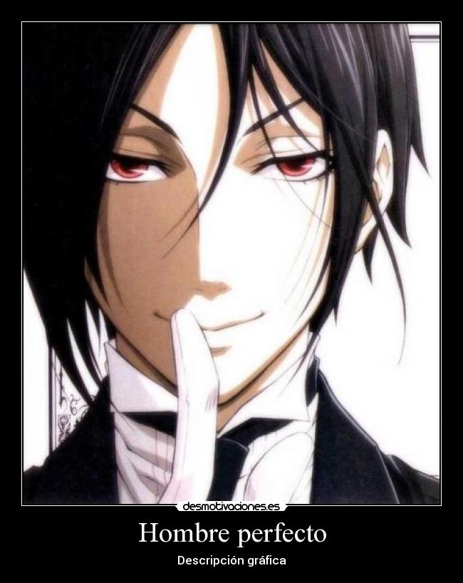 Hombre perfecto - 
