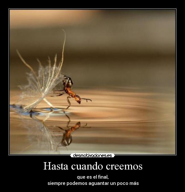 Hasta cuando creemos - que es el final,
siempre podemos aguantar un poco más