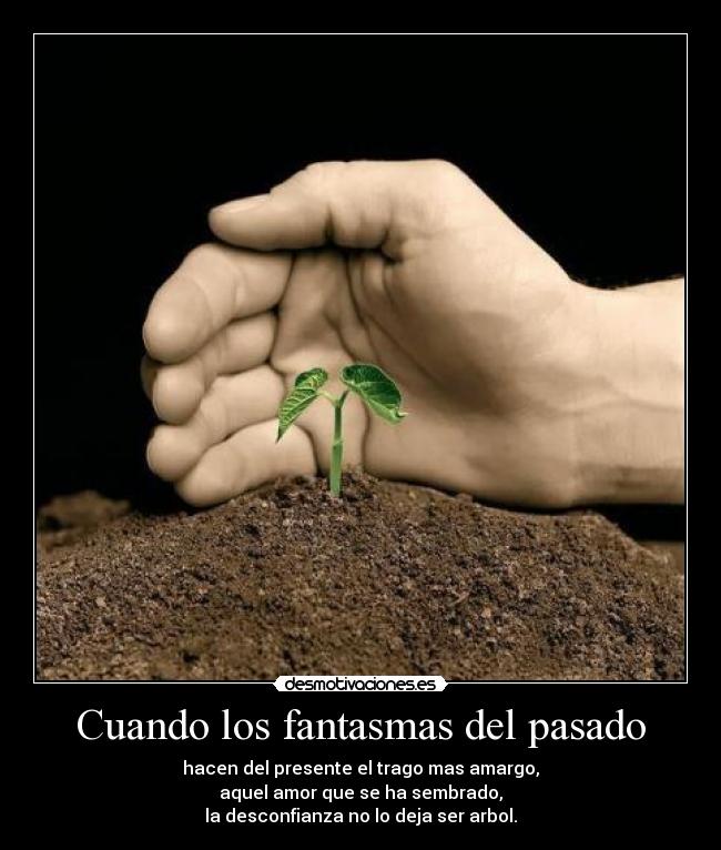 Cuando los fantasmas del pasado - hacen del presente el trago mas amargo,
aquel amor que se ha sembrado,
la desconfianza no lo deja ser arbol.