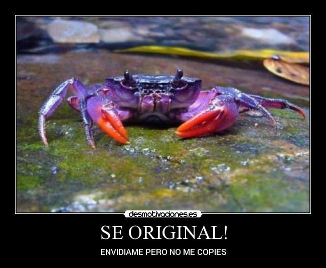 SE ORIGINAL! - 