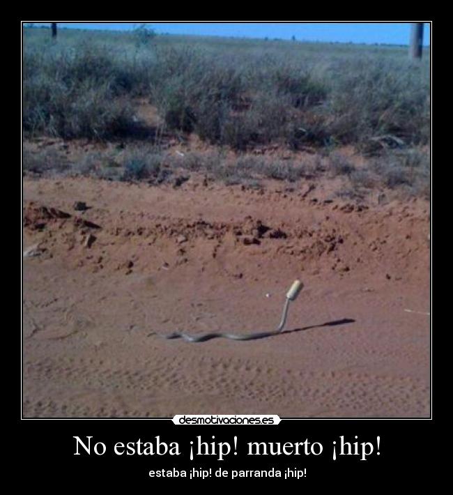 No estaba ¡hip! muerto ¡hip! - 
