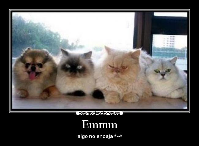 Emmm - algo no encaja *--*