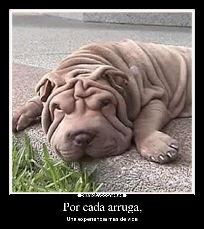 Por cada arruga, - Una experiencia mas de vida