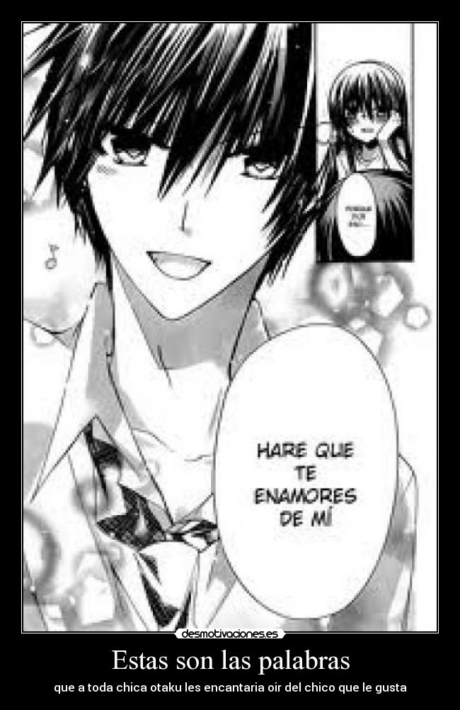 Estas son las palabras -