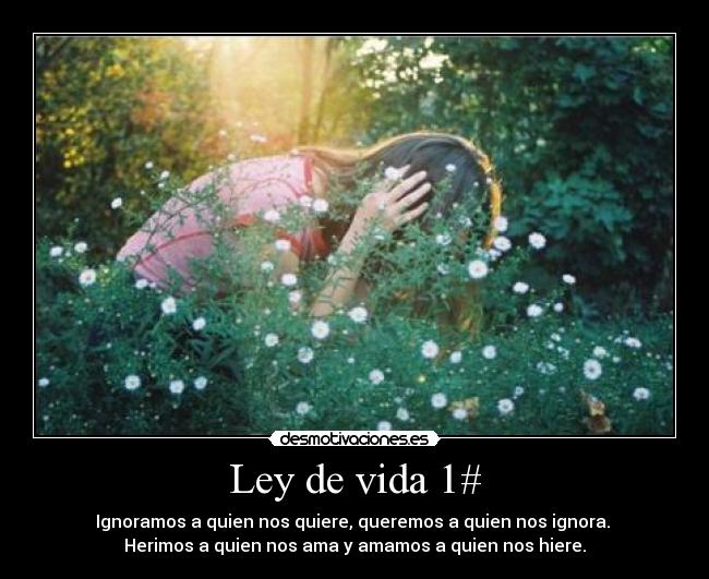 Ley de vida 1# - 