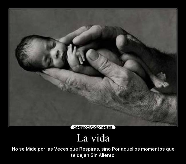 La vida - 