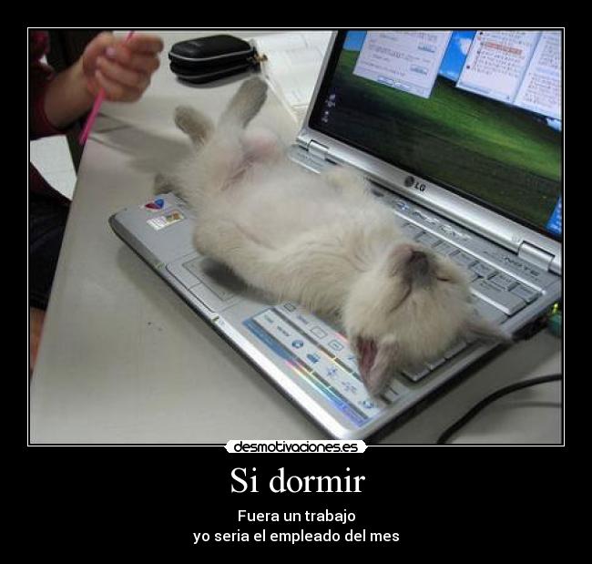 Si dormir - Fuera un trabajo
yo seria el empleado del mes