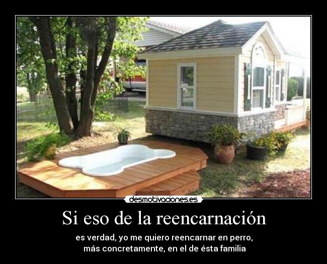 Si eso de la reencarnación -