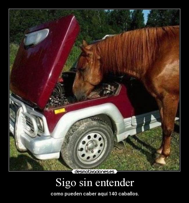 Sigo sin entender - 