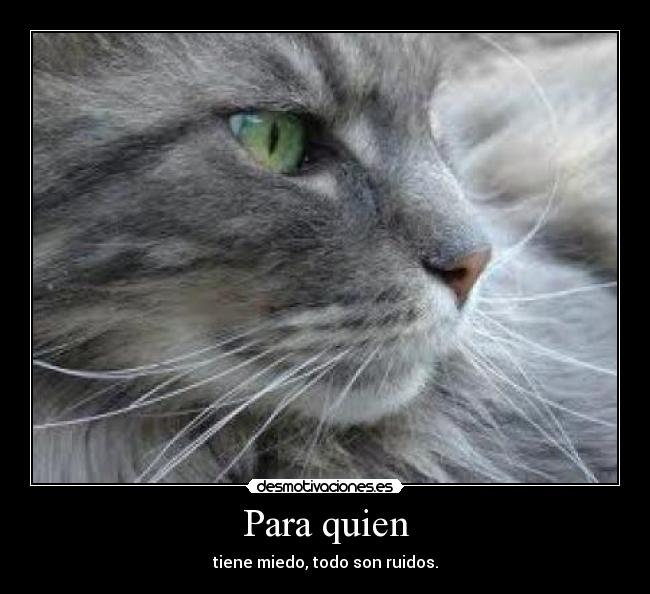 Para quien - tiene miedo, todo son ruidos.