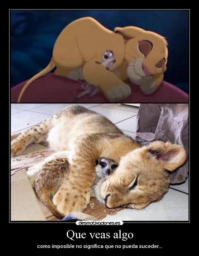 carteles alma pena desmotivaciones