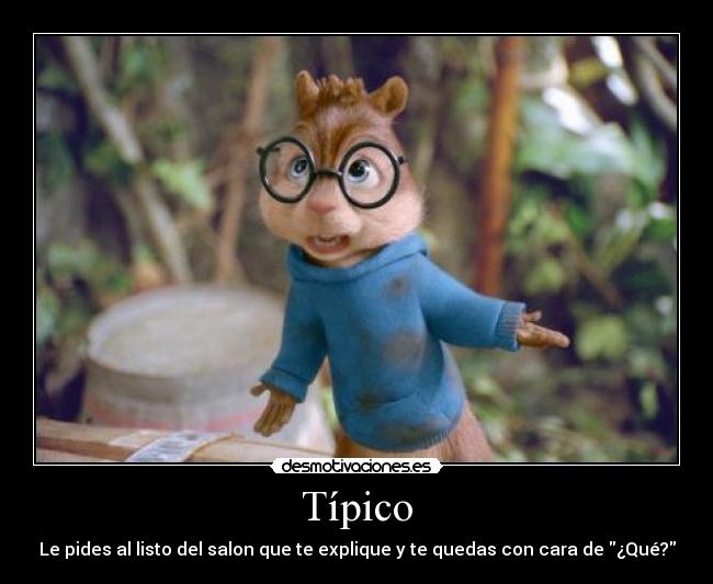 Típico - Le pides al listo del salon que te explique y te quedas con cara de ¿Qué?