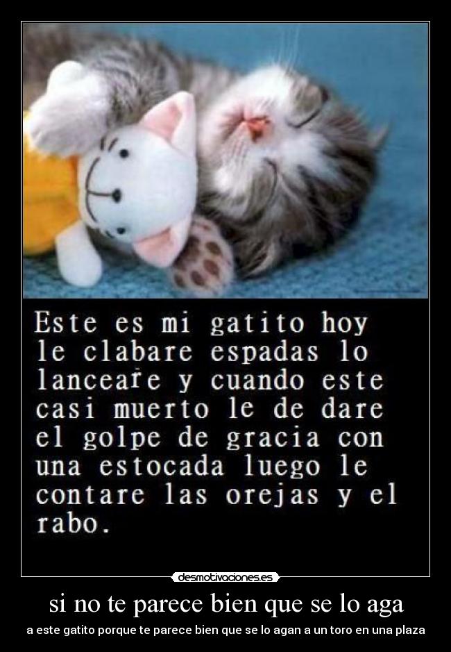 si no te parece bien que se lo aga - a este gatito porque te parece bien que se lo agan a un toro en una plaza