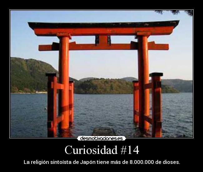 Curiosidad #14 - 