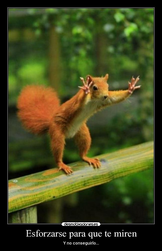 Esforzarse para que te miren - Y no conseguirlo...