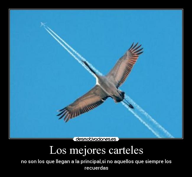 Los mejores carteles - 