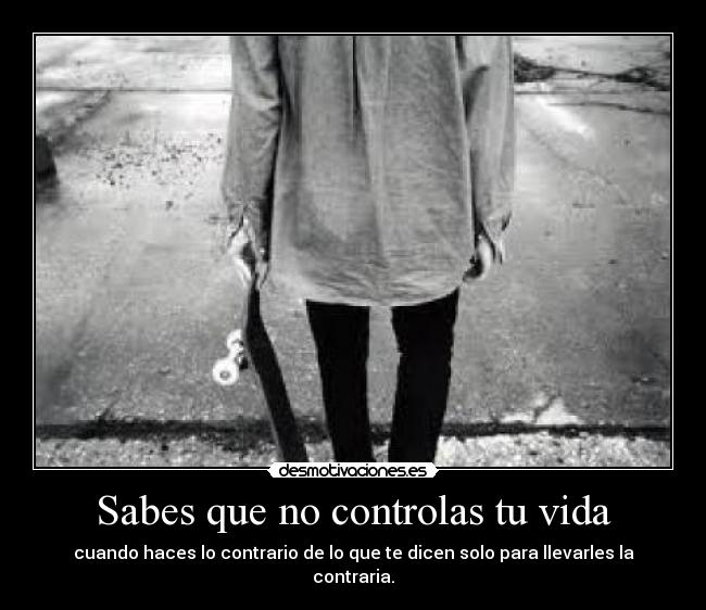 carteles vida vida desmotivaciones