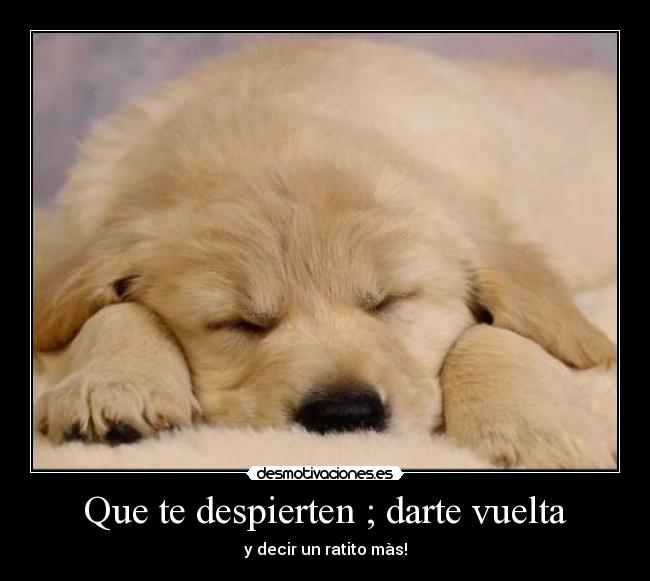 carteles dalma rivero desmotivaciones