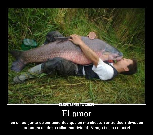 El amor - 