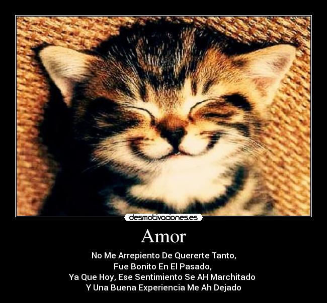 Amor - No Me Arrepiento De Quererte Tanto,
Fue Bonito En El Pasado,
Ya Que Hoy, Ese Sentimiento Se AH Marchitado
Y Una Buena Experiencia Me Ah Dejado