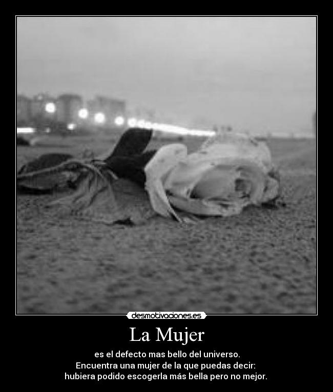 La Mujer - es el defecto mas bello del universo.
Encuentra una mujer de la que puedas decir: 
hubiera podido escogerla más bella pero no mejor. ♥