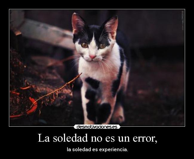 La soledad no es un error, - 
