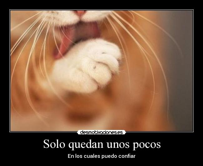 carteles vida reflexion idoctor desmotivaciones