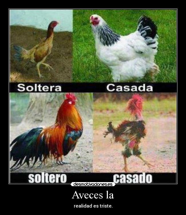 Aveces la - realidad es triste.