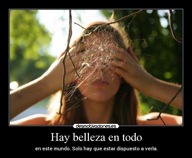 Hay belleza en todo -