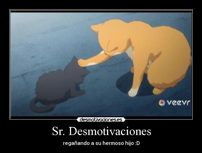 carteles desmotivaciones desmotivaciones gatos anime amor mascotas desmotivaciones