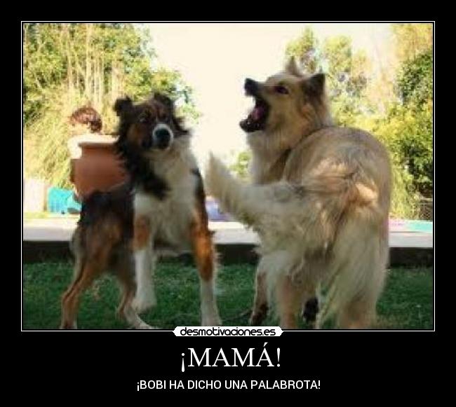 ¡MAMÁ! - ¡BOBI HA DICHO UNA PALABROTA!