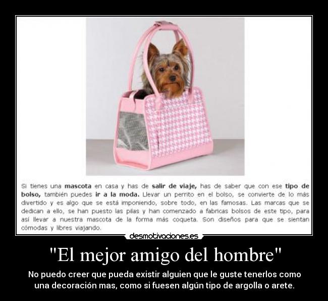 El mejor amigo del hombre -