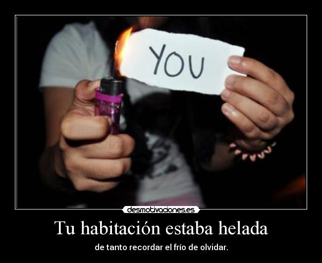 carteles este eres voy hacer budu paleto jejeje estela reynolds lalalalalalala puto insti desmotivaciones