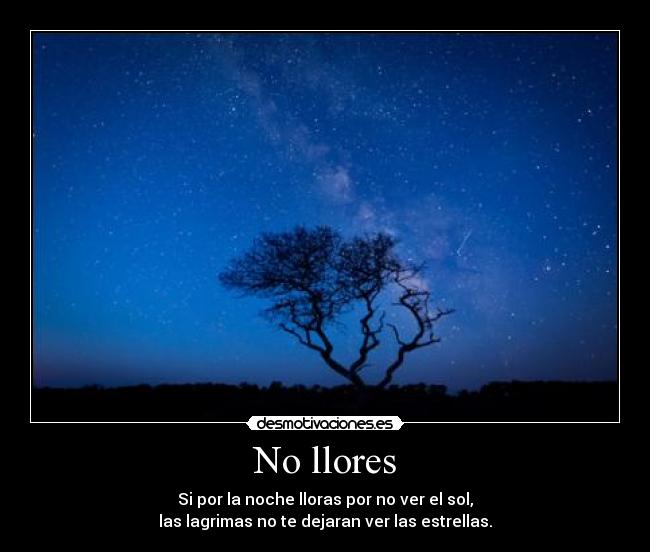 No llores - Si por la noche lloras por no ver el sol,
las lagrimas no te dejaran ver las estrellas.