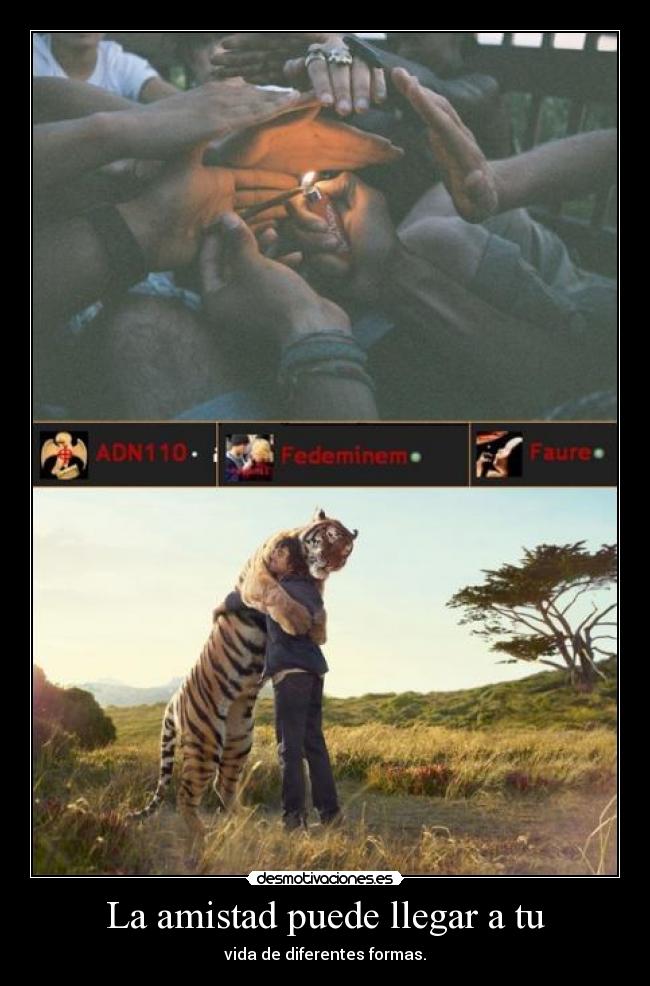 La amistad puede llegar a tu - vida de diferentes formas.