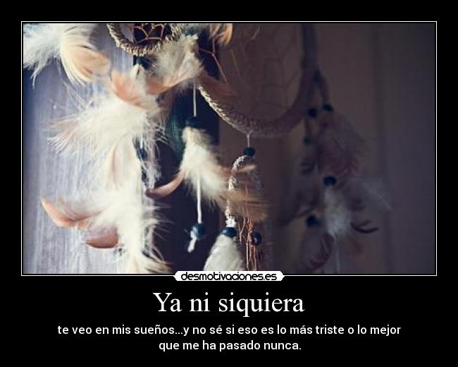 carteles estas estaras desmotivaciones